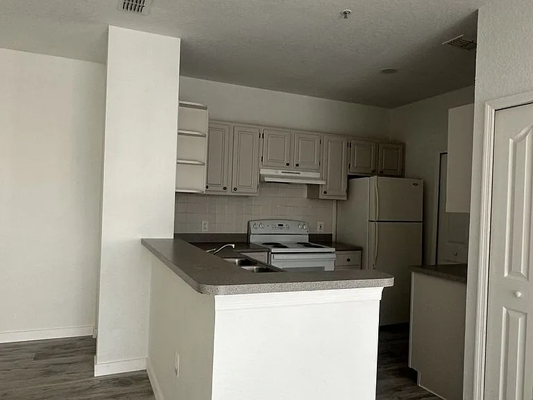 1175 Lake Shadow Cir #4202 — Photo 8