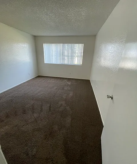 1186 E Lugonia Ave — Photo 13