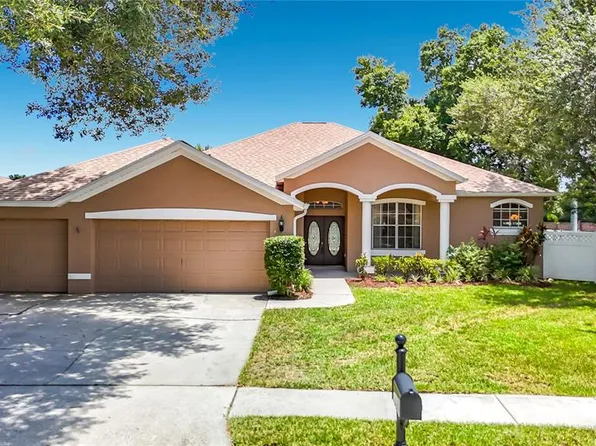 2866 Duncan Tree Cir, Valrico, FL 33594