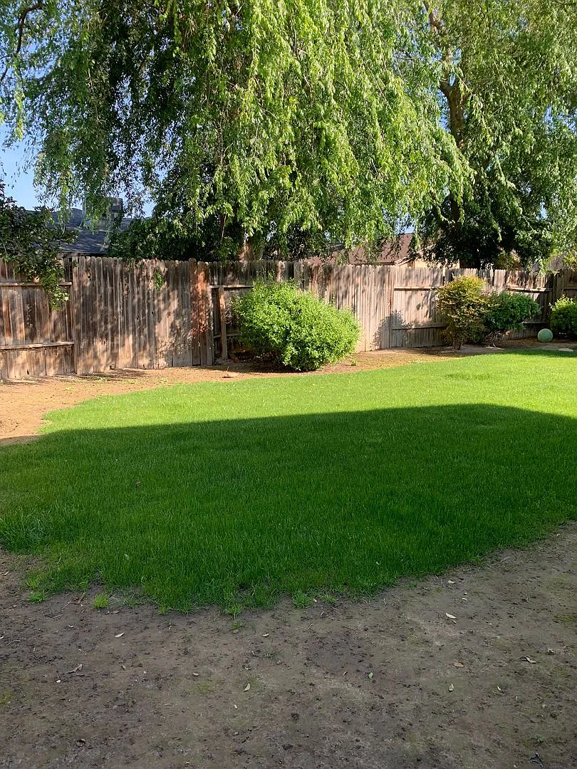 Campus Park Home — Photo 2