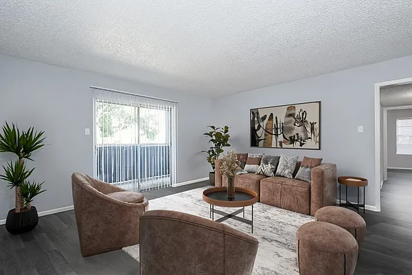 The Social Apartments — Photo 3