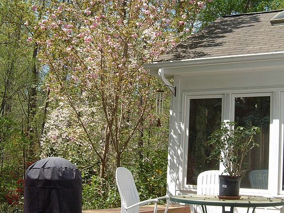 Rear deck and sunroom