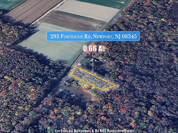 5th image of 295 Fortescue Rd