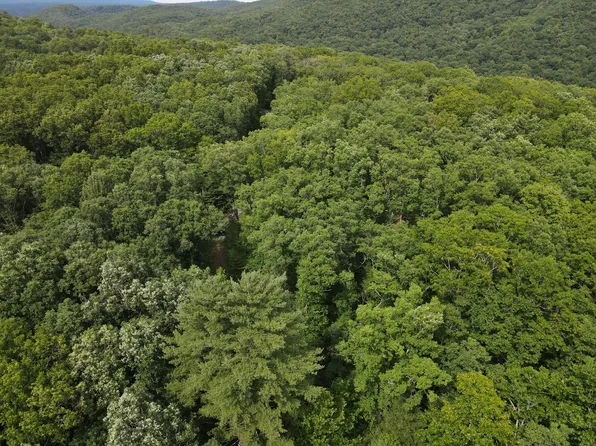 92 River Ridge Ln, Buckeye, WV 24924