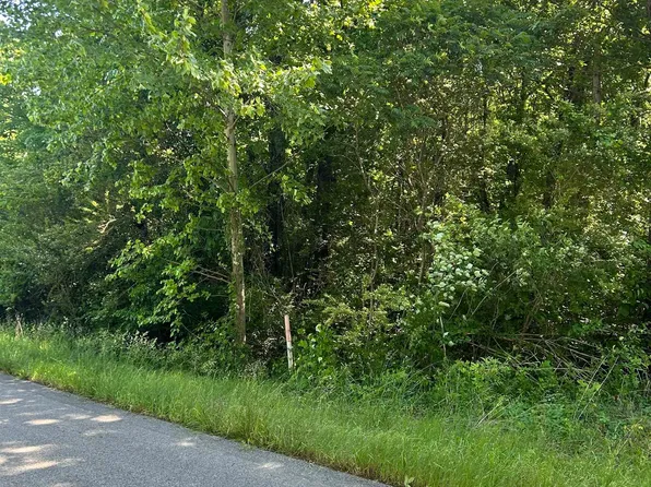 0 County Road 545, Rogersville, AL 35652