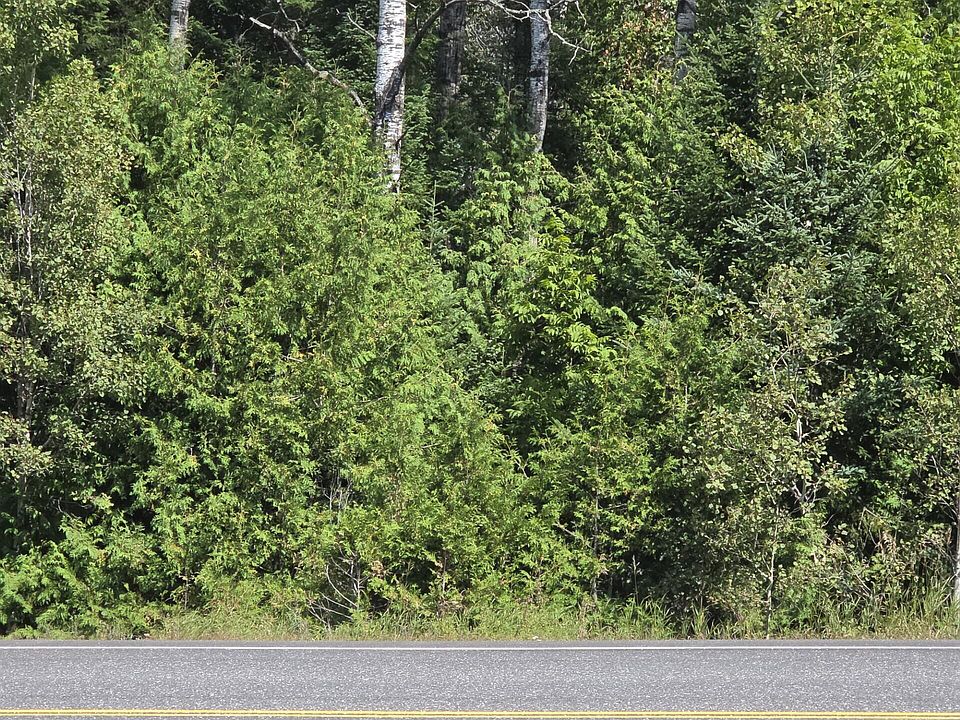 1st image of M6L10 New Sweden Road