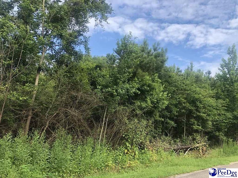 2nd image of 1167 Hillcrest Rd