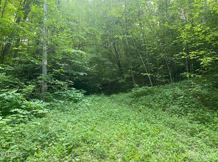 628 Costner Rd, Cosby, TN 37722