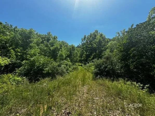 Erickson Rd, Albany, OH 45710