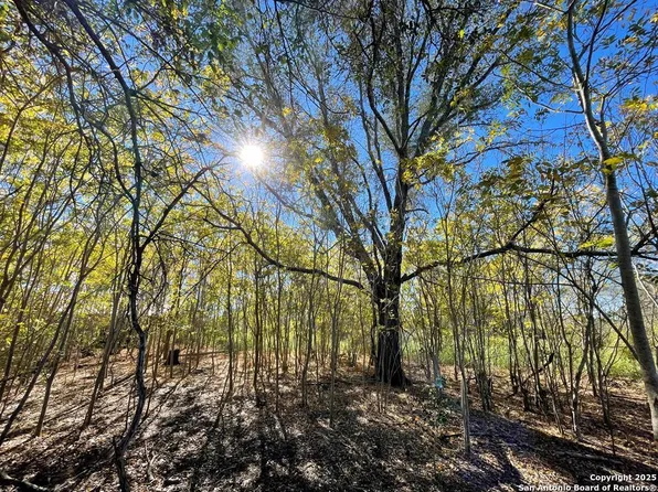 308 Benito, Beeville 78102