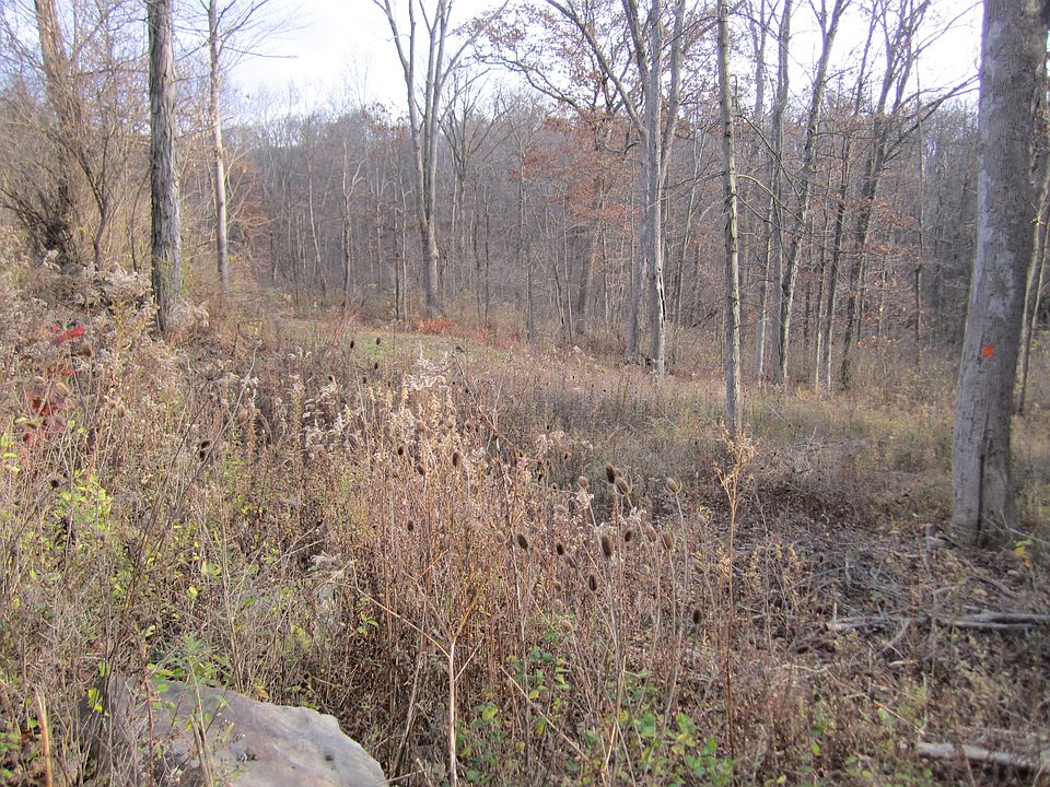 1st image of 131 Greenwood Drive