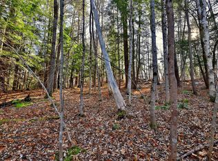 0 Partridge Rd UNIT 52, Ludlow, VT 05149