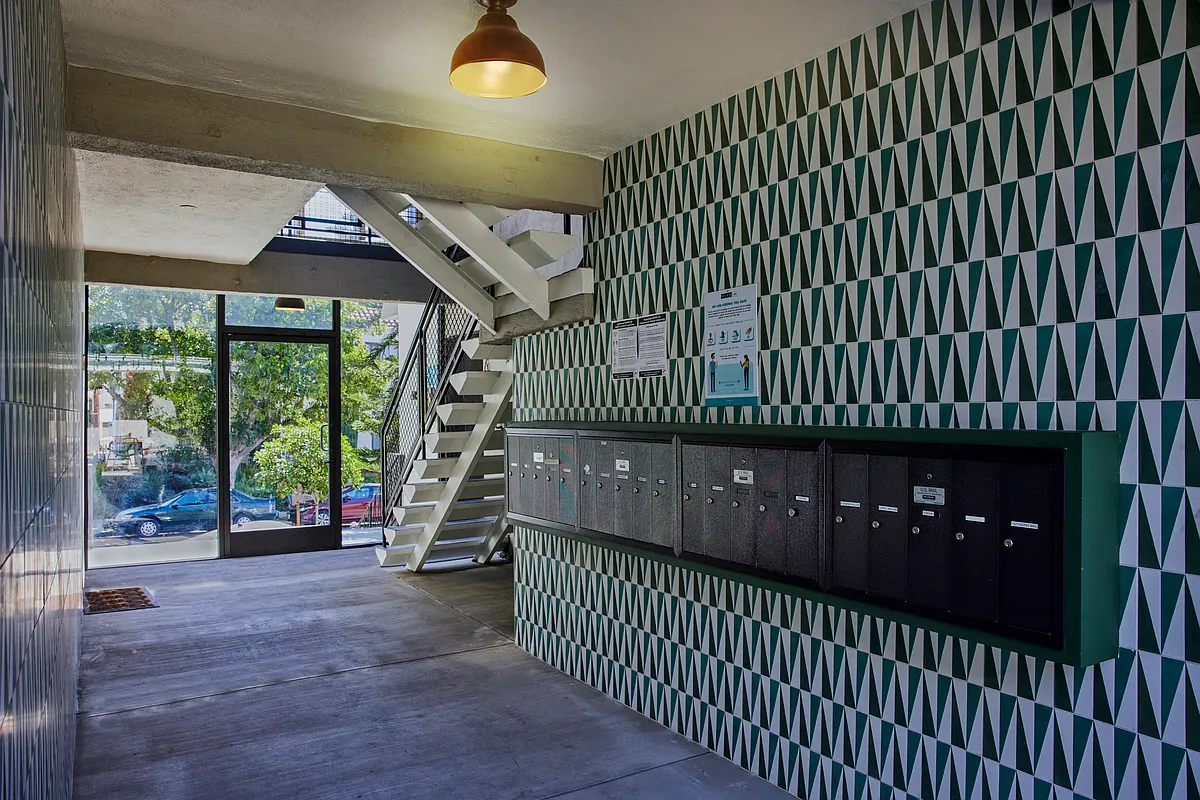 Mail Room - Ollie on Ogden