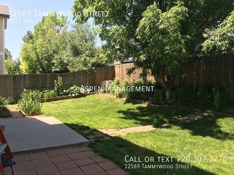 12569 Tammywood St — Photo 12