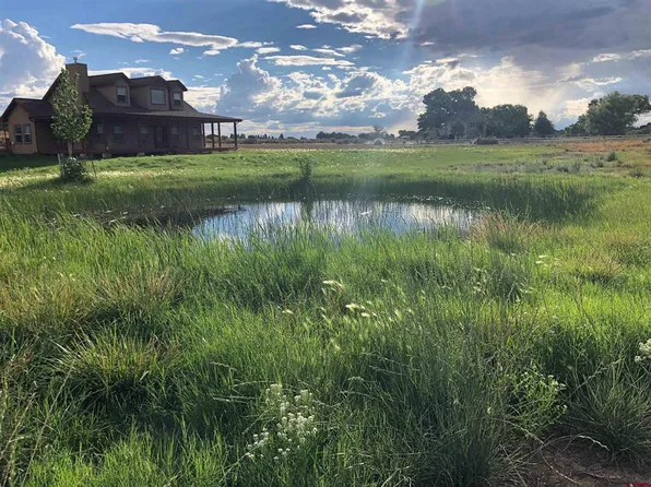 11611 Road 28.1, Dolores, CO 81323