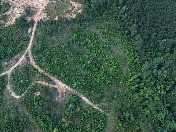 Photo May 19 2026 7 26 07 Pm
