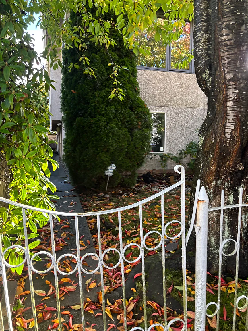 3668 Ontario St photo 1