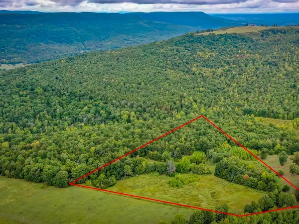 2230 Browntown Rd, Witts Springs, AR 72686