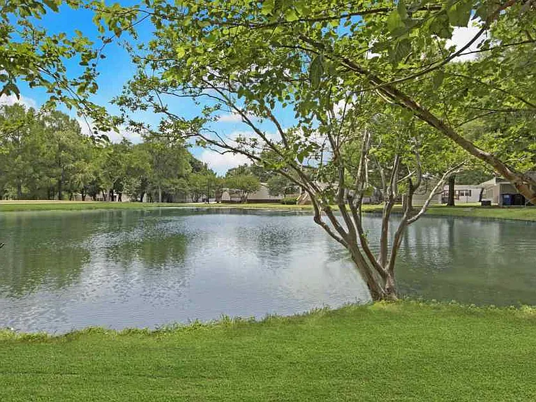 Southfork — Photo 6