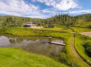 141450 McAlpin Trl, Steamboat Springs, CO 80428