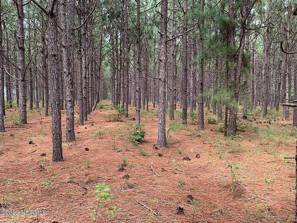 2nd image of 5188 Lobelia Road