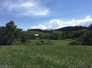 65 Jake Martin Rd, Leicester, NC 28748