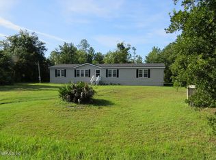 33 Coriander Ter, Middleburg, FL 32068