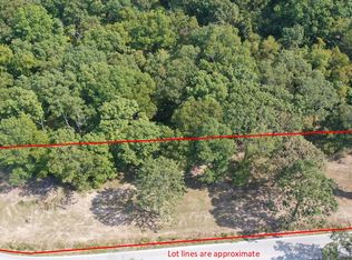 000 Black Oak Resort Lane, Lampe, MO 65681