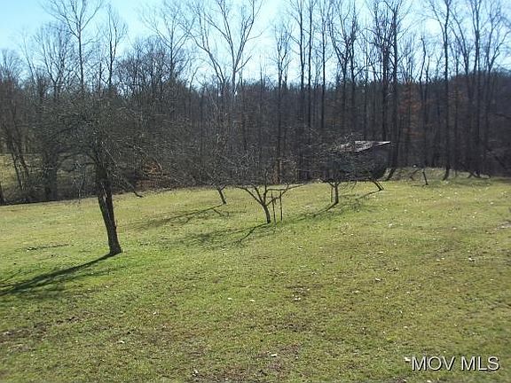 Woods view from Property