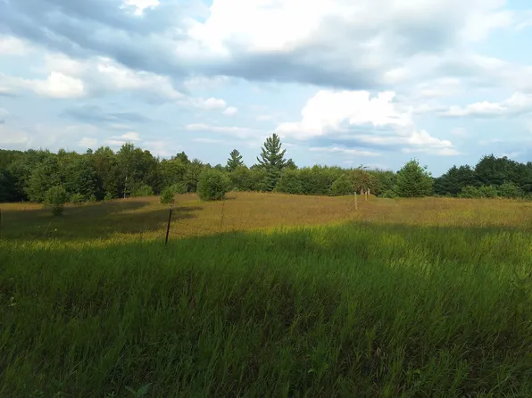 V/l 0 N Lakola Rd, Leroy, MI 49655
