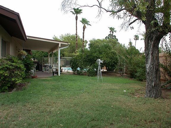 Southern half of back yard.  4 mature citrus trees!