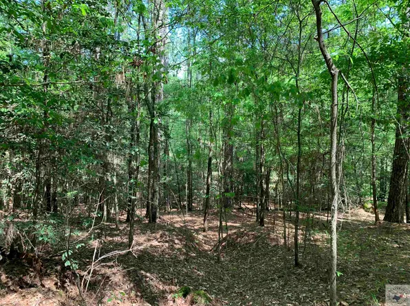 Tbd 3 Cres #3562, Queen City, TX 75572