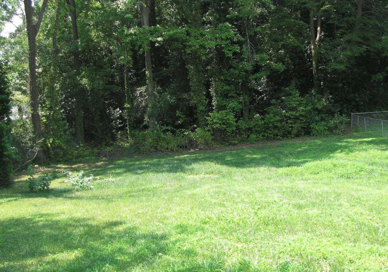 Charming 3 Bedroom, 1 Bathroom Home — Photo 4