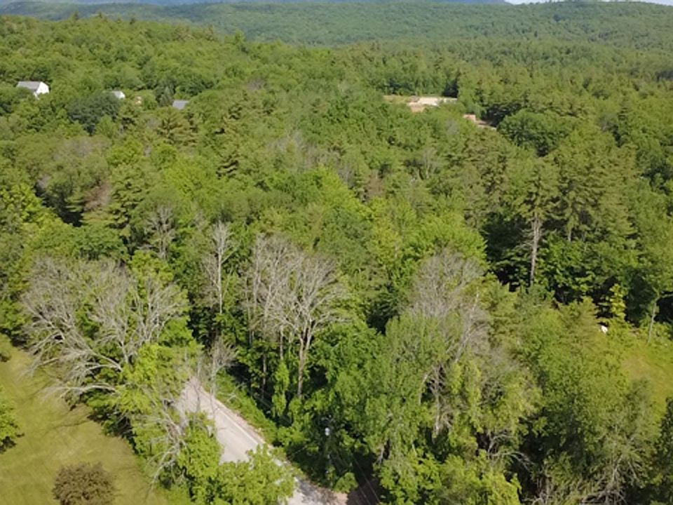 1st image of 5 Brian Road