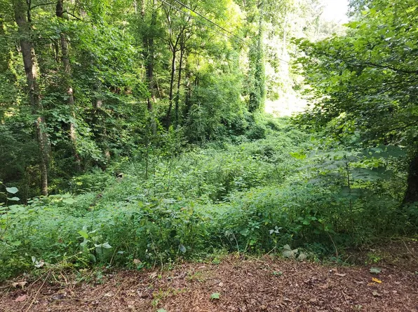 LOT Sixteen Town Mountain Dr, Franklin, NC 28734