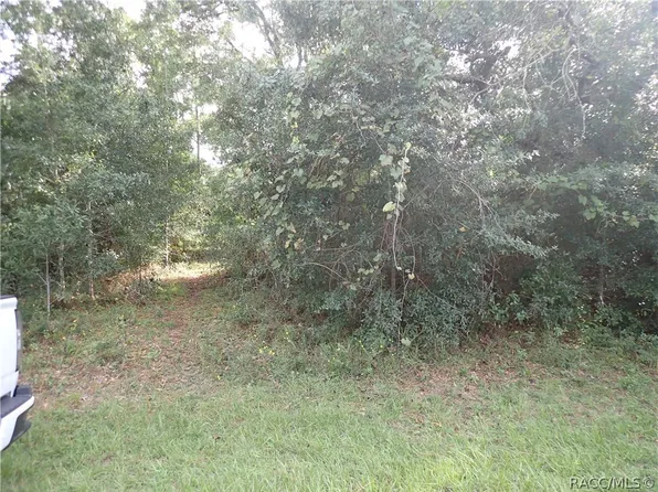 5270 W Shaker Pl, Lecanto, FL 34461