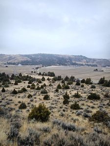 Nhn Pole Gulch Rd, Three Forks, MT, 59752