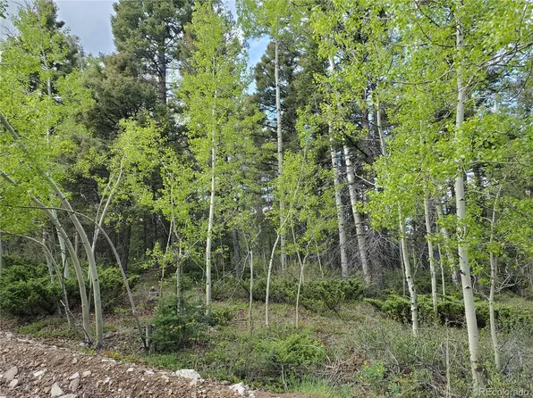 6084 Stella Road LOT 6084, Fort Garland, CO 81133