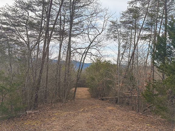 3rd image of 1133 Macedonia Martin Gap Rd