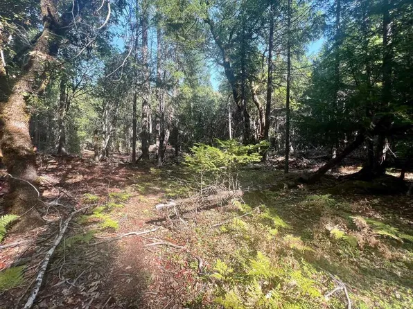 62 Acres Forest Rd #15N19, Happy Camp, CA 96039