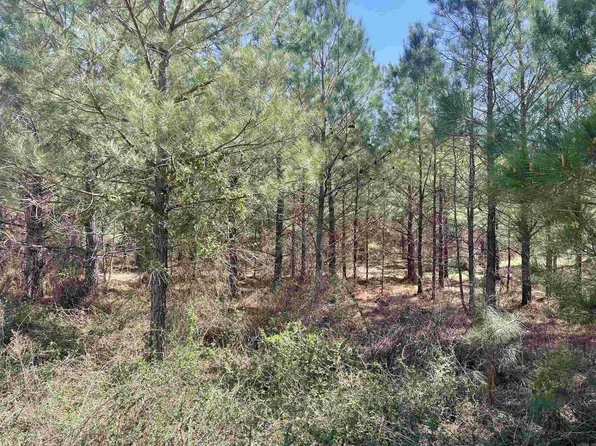 (undisclosed Address), Hampton, AR 71744