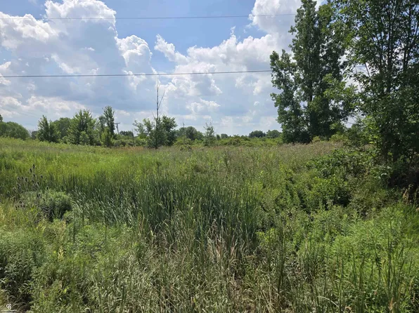 11547 Burt Rd, Riley, MI 48041
