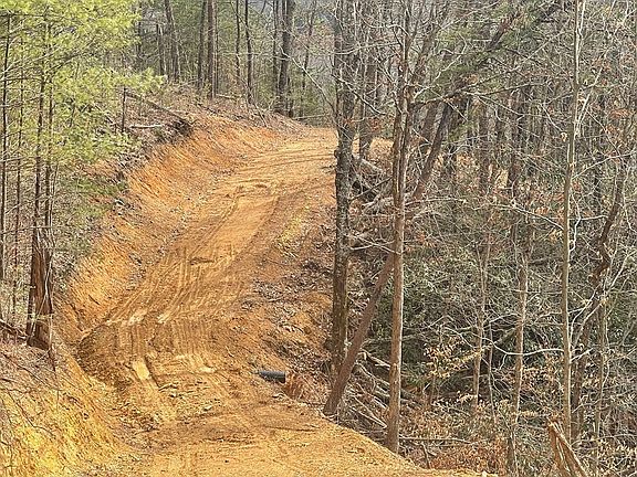 4th image of 532 Little Bear Rd Lot 18