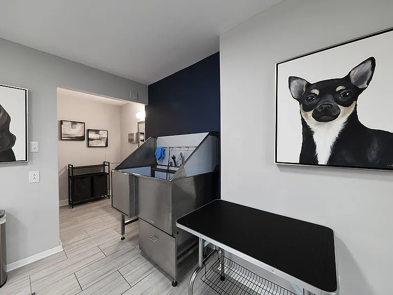 Experience luxury pet care in this contemporary grooming space.