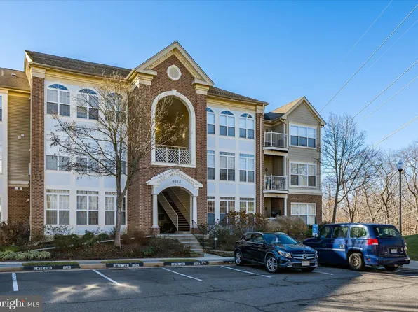 6613 Netties Ln Unit N, Alexandria, VA 22315