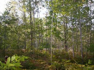 N Hockaday Rd, Gladwin, MI 48624