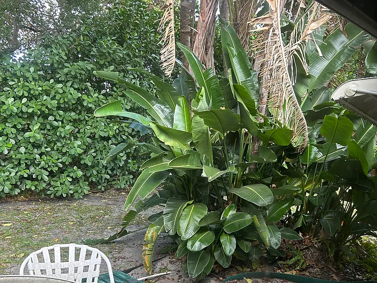 SW Natura Ave — Photo 8