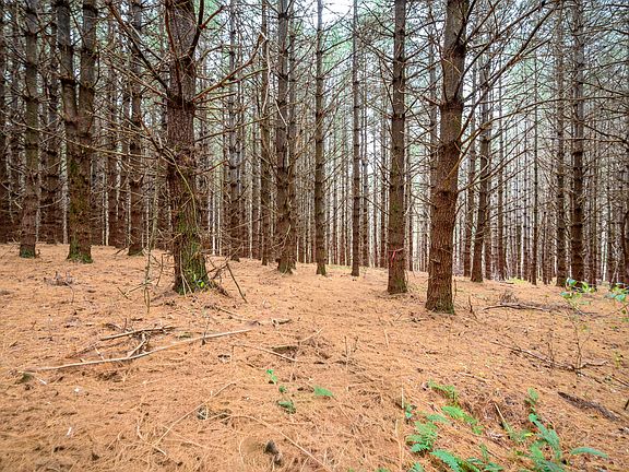 5th image of 3150 Stonewall Rd NE Lot B