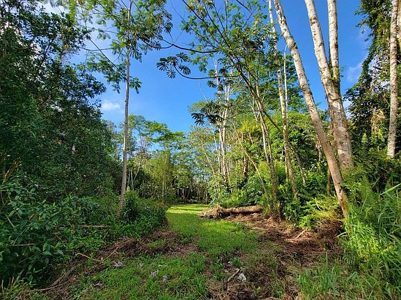 2nd image of 25th Avenue Okika Lot 960