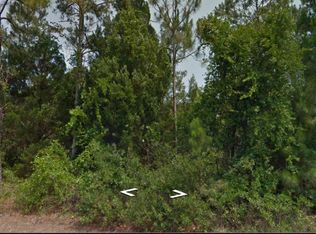 49 Woodborn Ln, Palm Coast, FL 32164